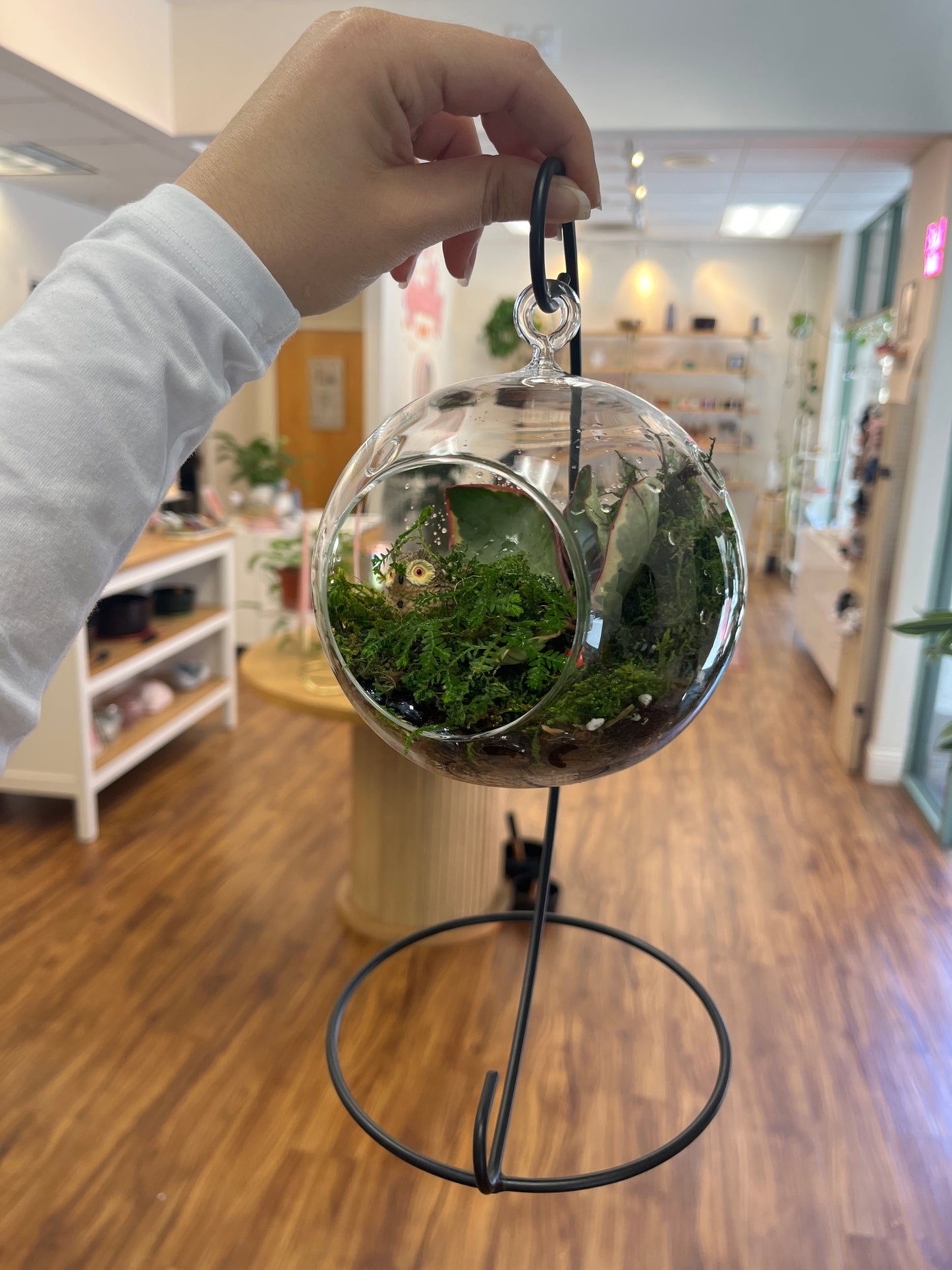 Schedule a Terrarium Building Workshop Here!
