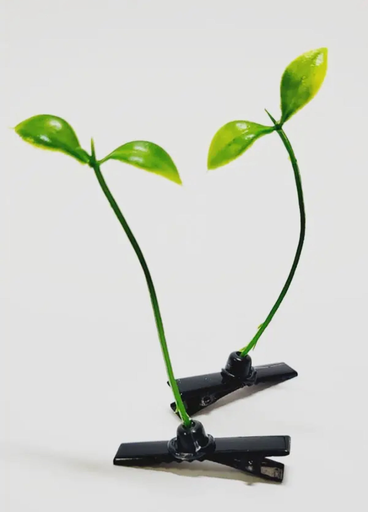 Sprout hair clip