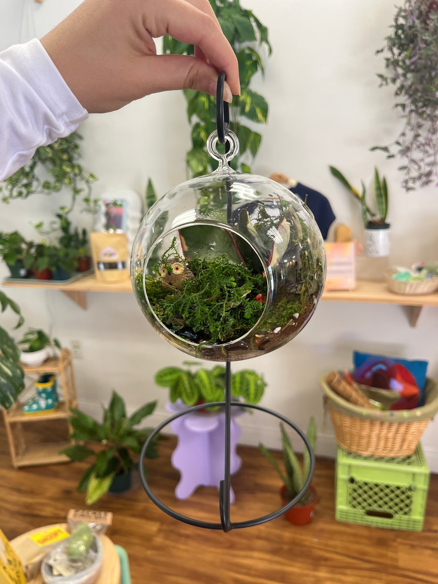 Schedule a Terrarium Building Workshop Here!