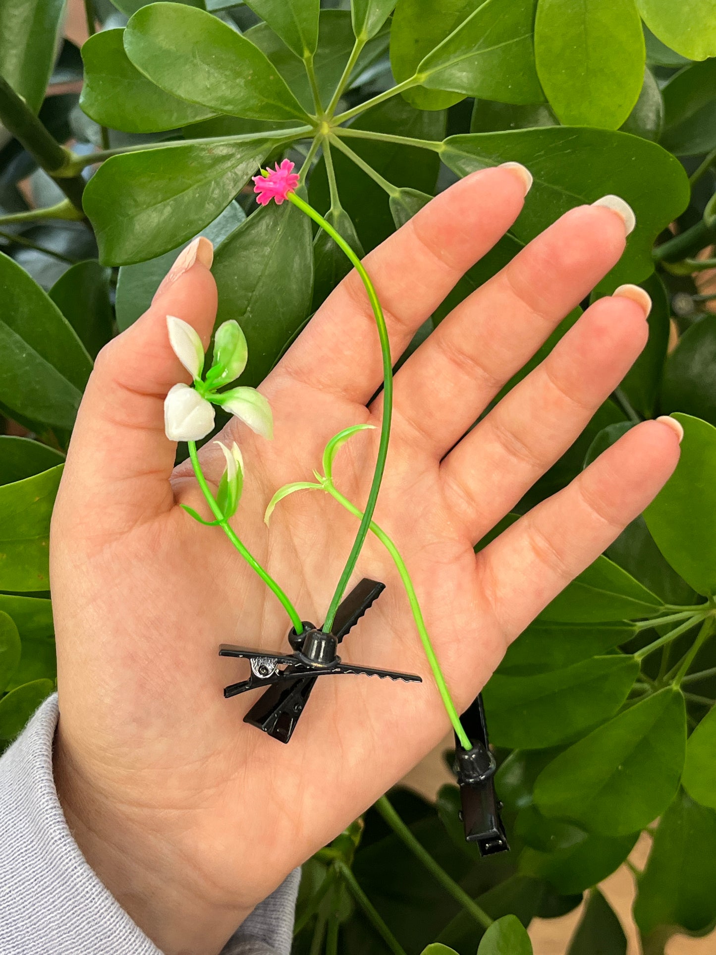 Sprout hair clip