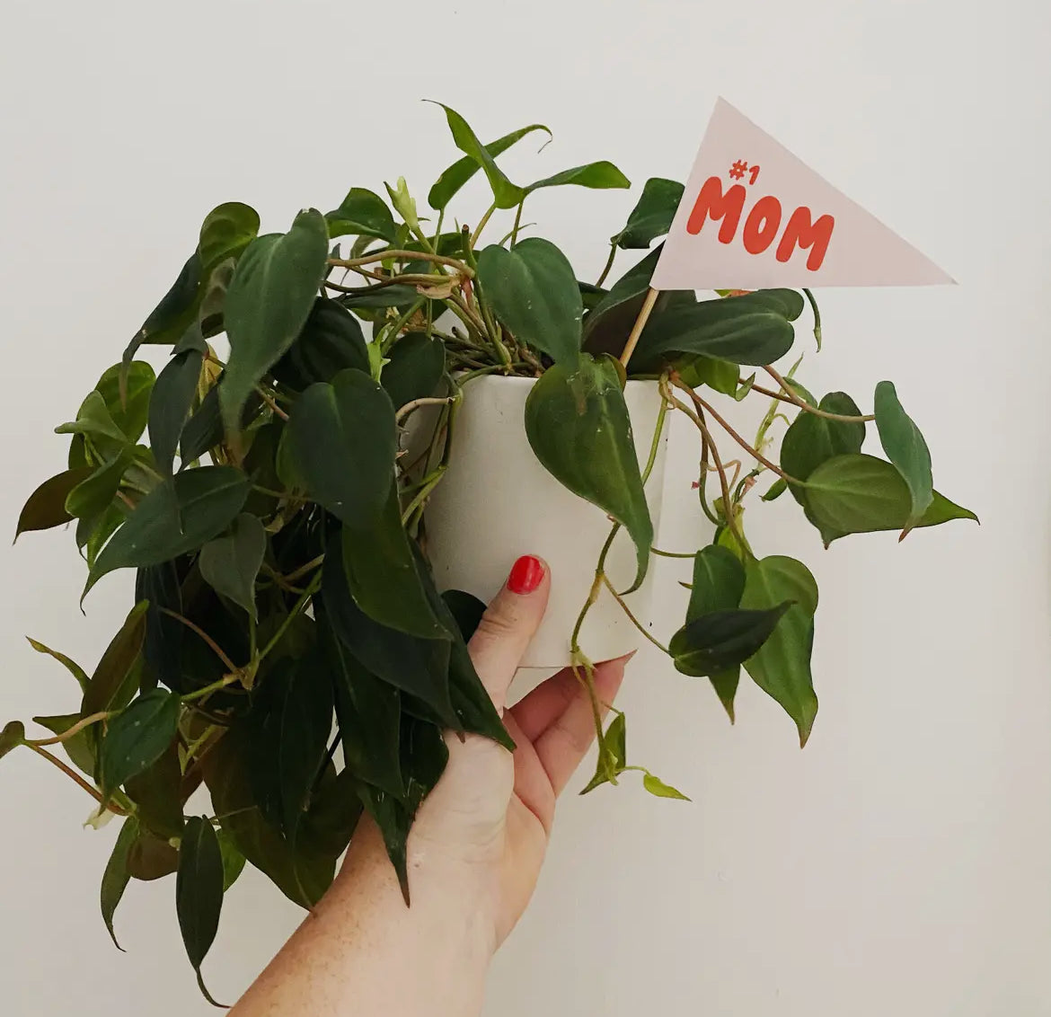 Plant Flags