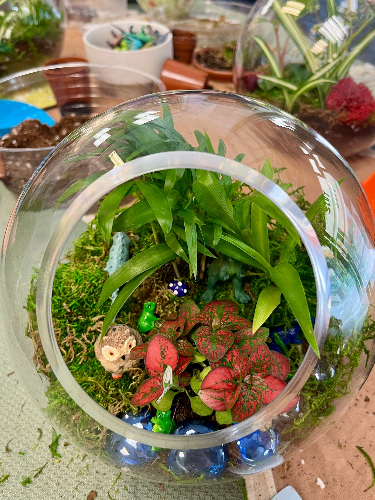Schedule a Terrarium Building Workshop Here!