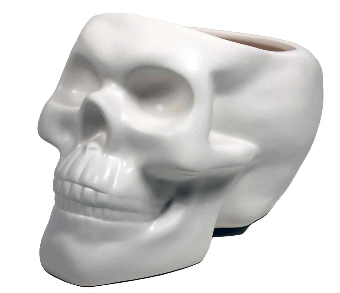 Skull Planter