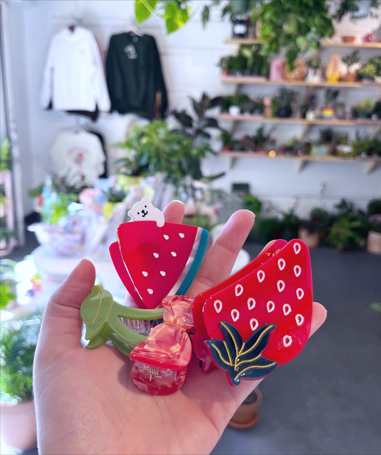 Spring Season Hair Clips