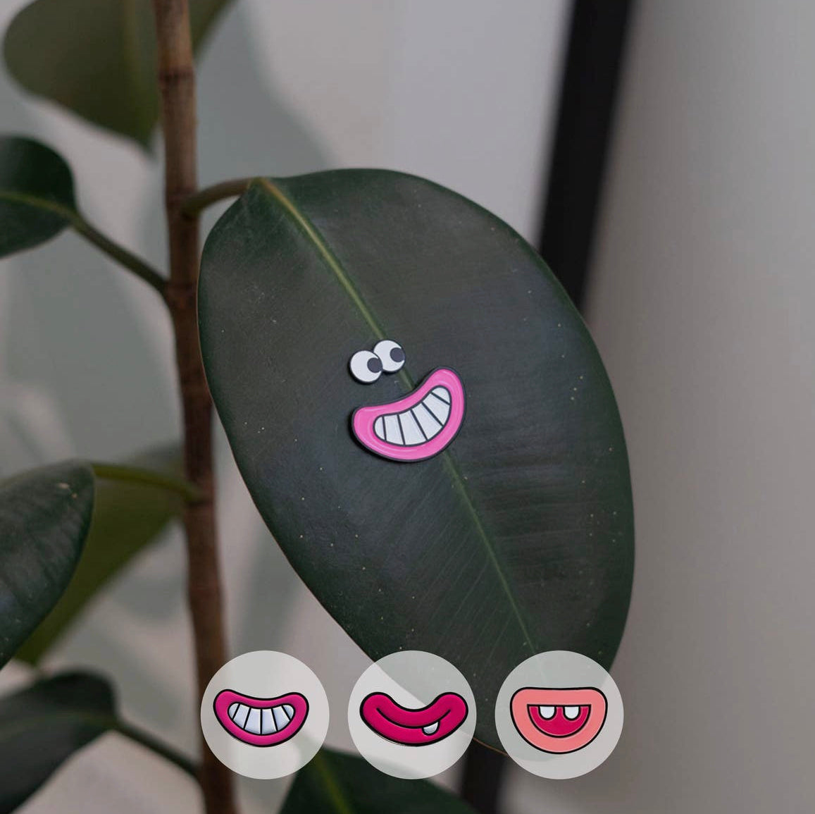 Plant Magnets!