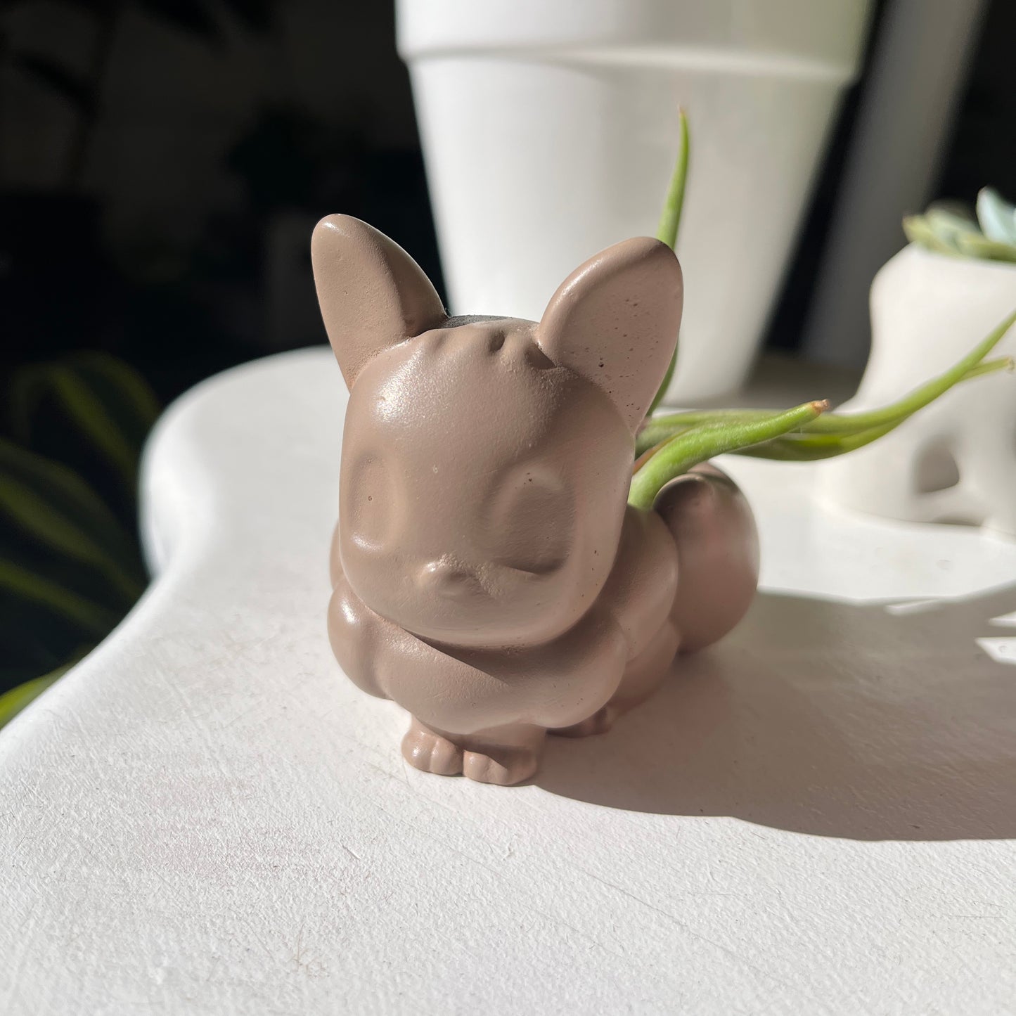 Pokémon Planters