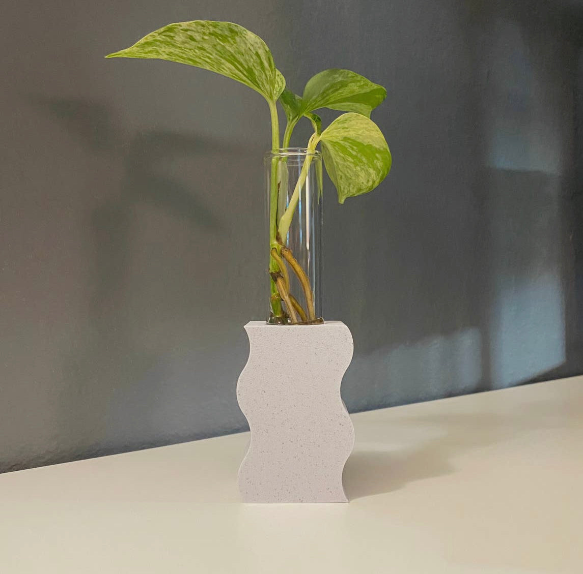 Propagation Stand
