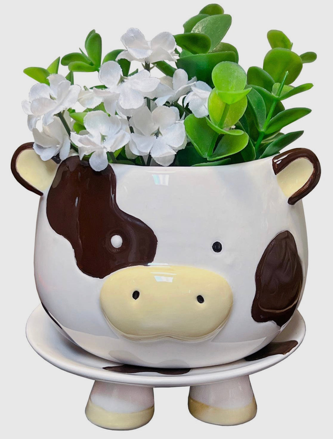 Cow Footsie Planter