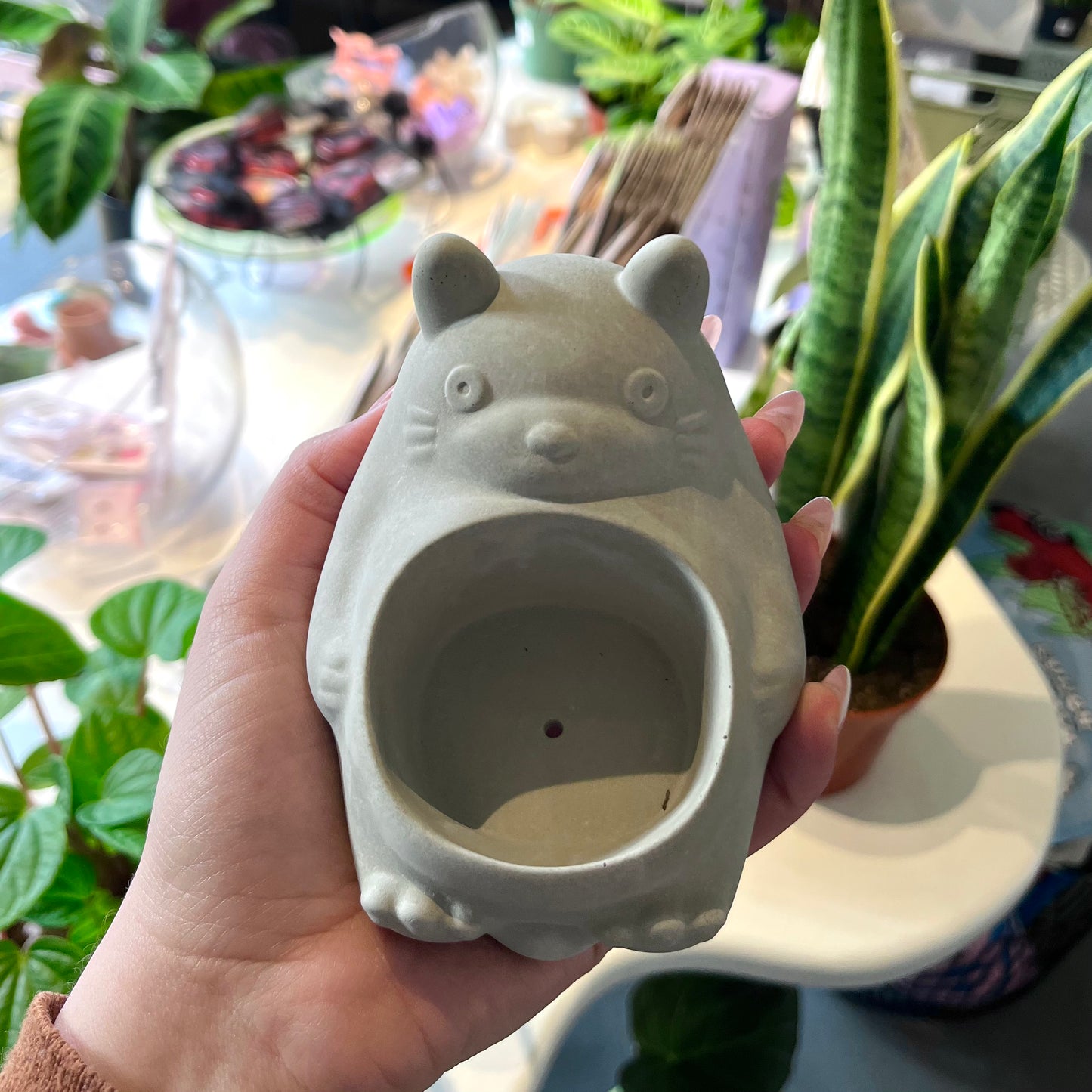 Totoro Planter