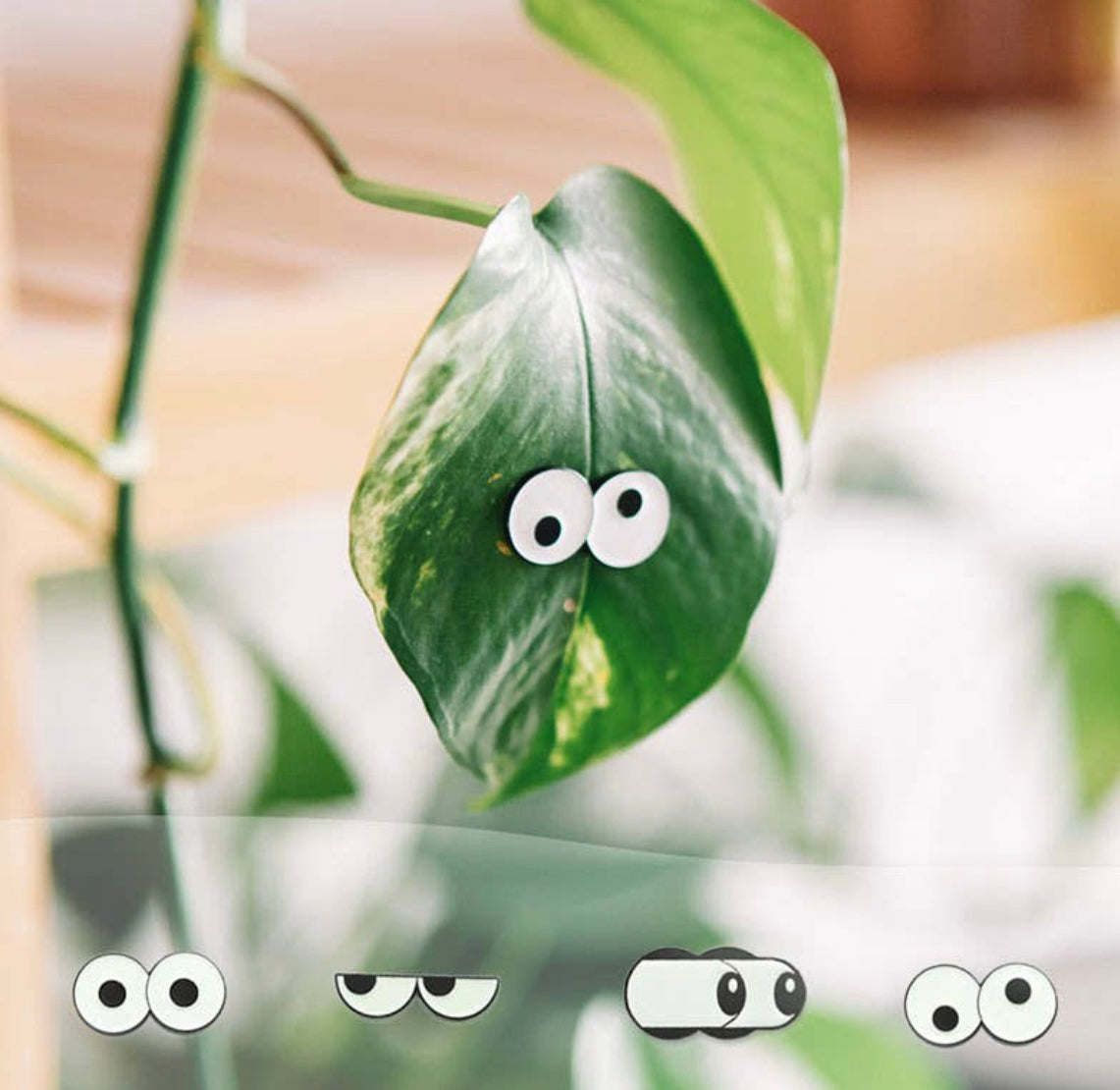 Plant Magnets!