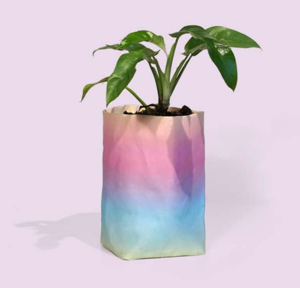 Happy Pot