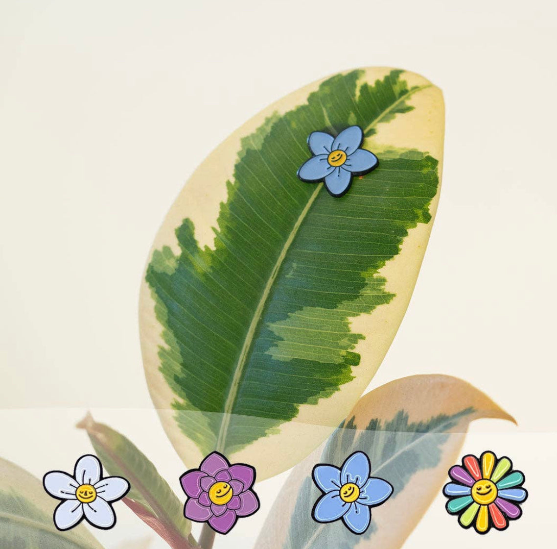 Plant Magnets!