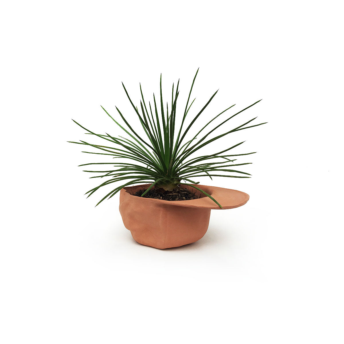 No Cap Planter