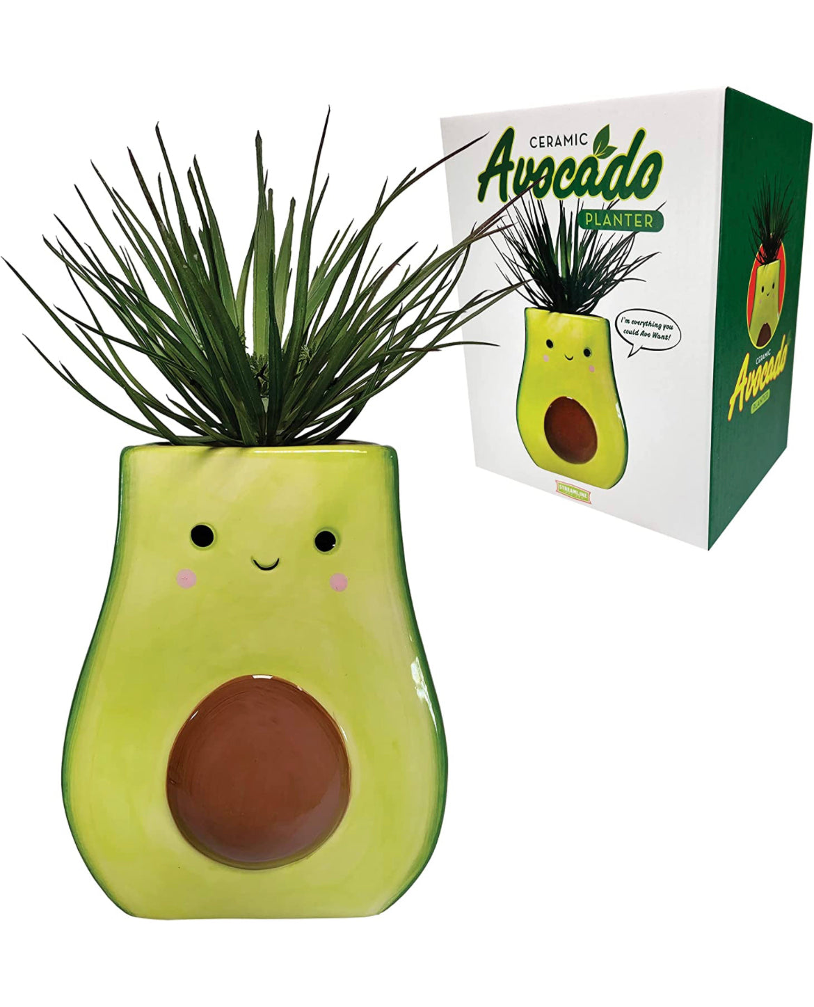 Avocado Planter