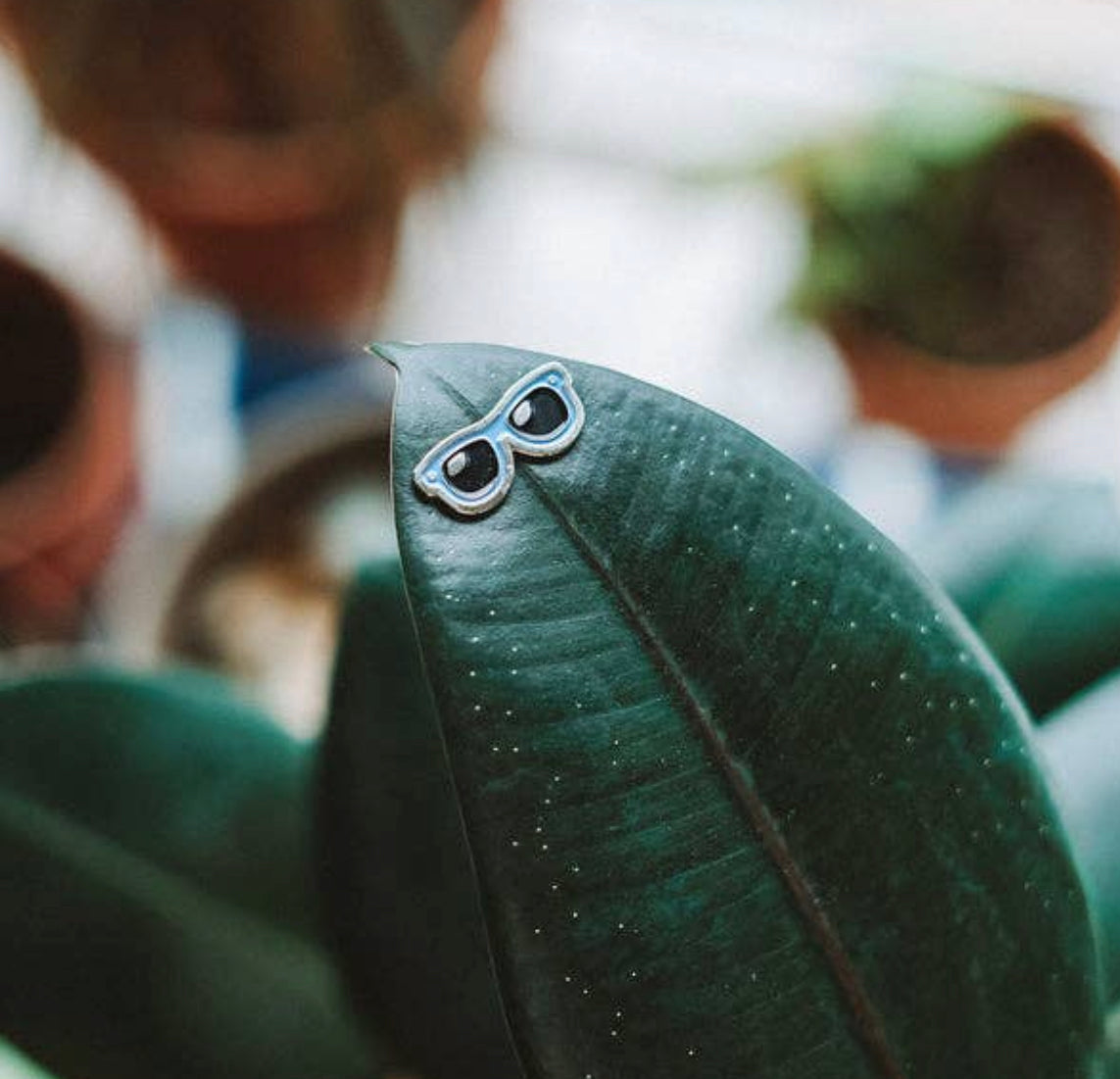 Plant Magnets!