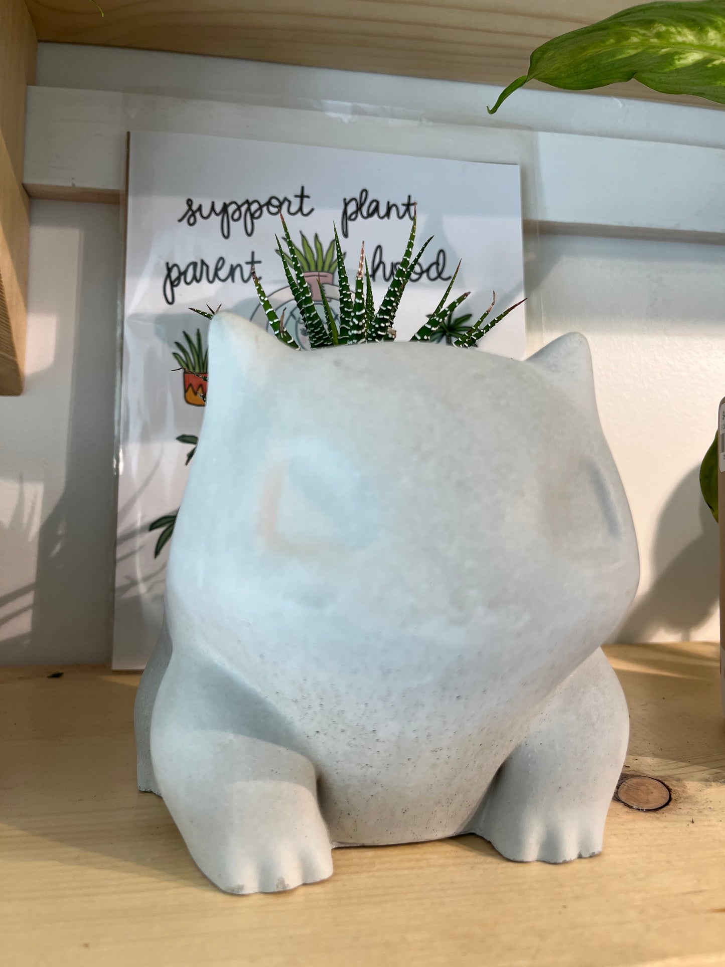 Pokémon Planters
