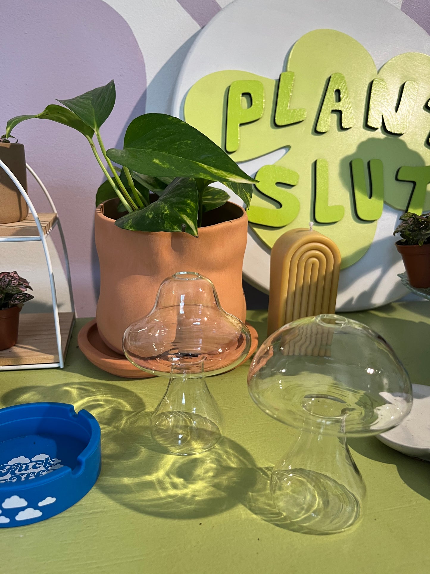 Shroom Propagation Jar