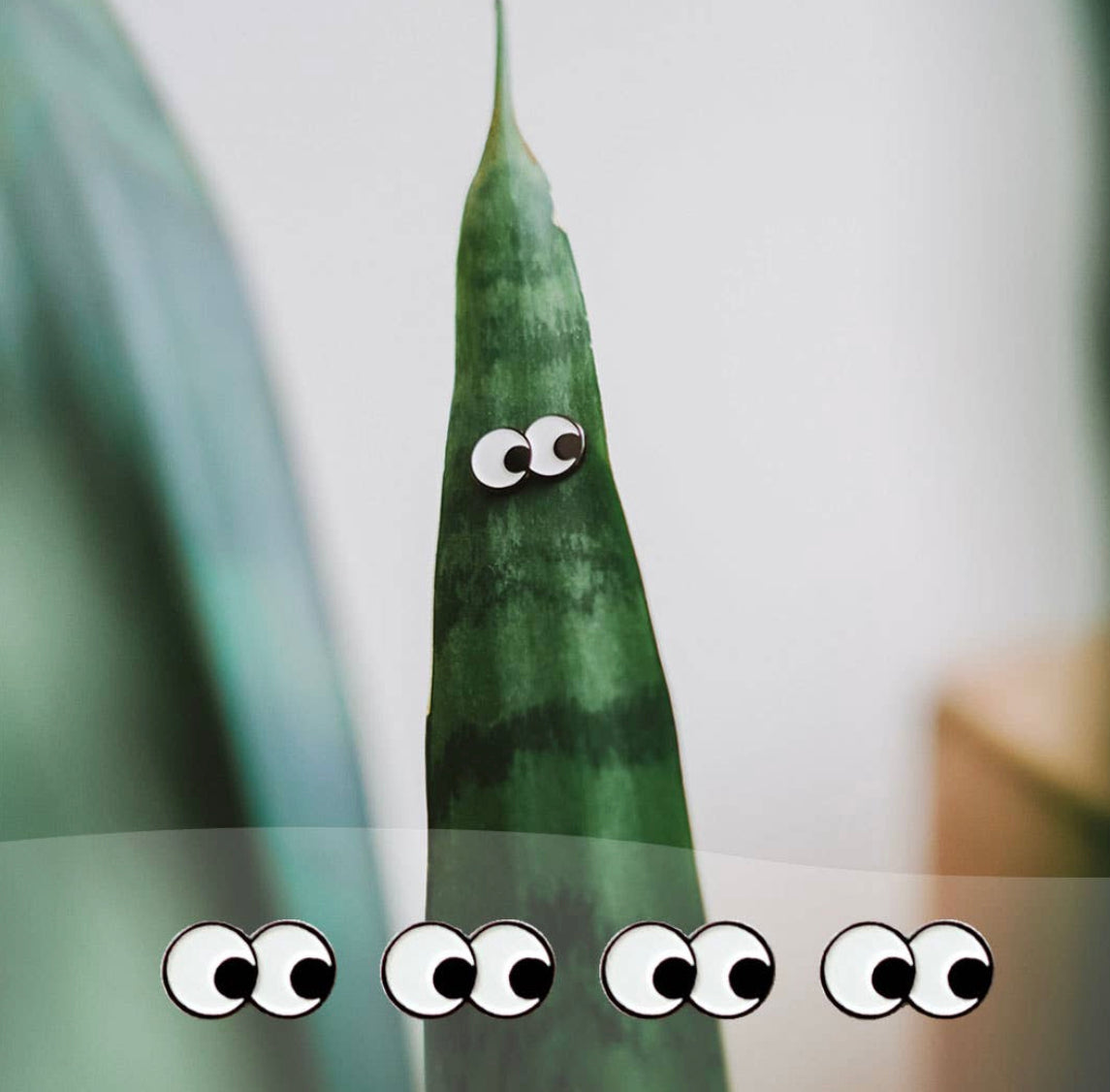 Plant Magnets!