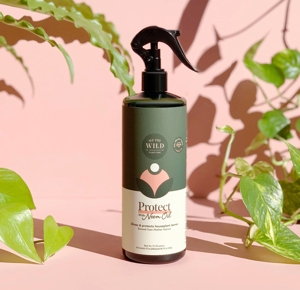 house plant pesticide spray Protect Plant Pest Spray