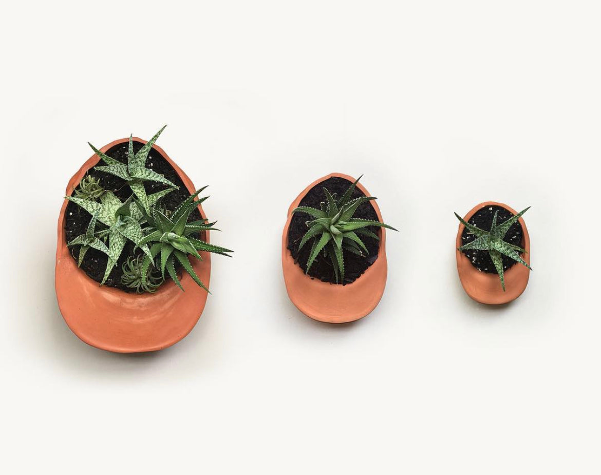 No Cap Planter