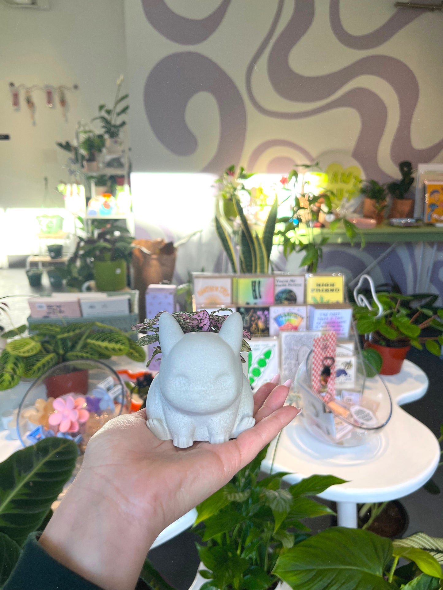 Pokémon Planters