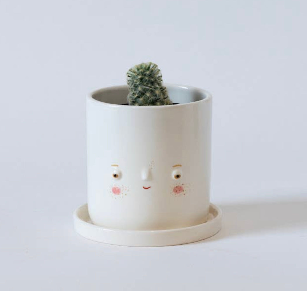 Friend Assembly Planters