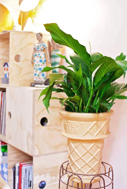 Ice Cream Cone Planter