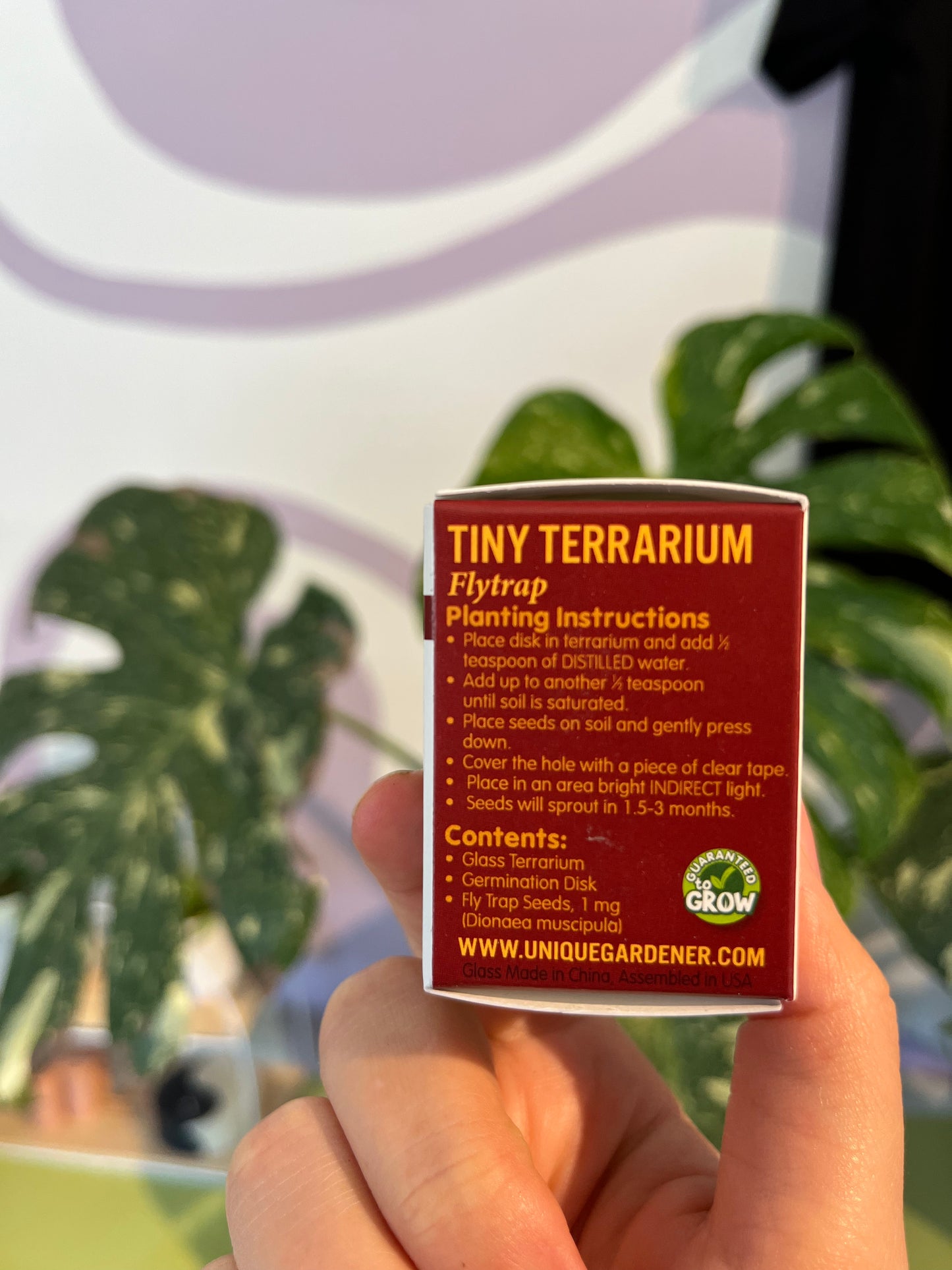 Tiny Terrariums