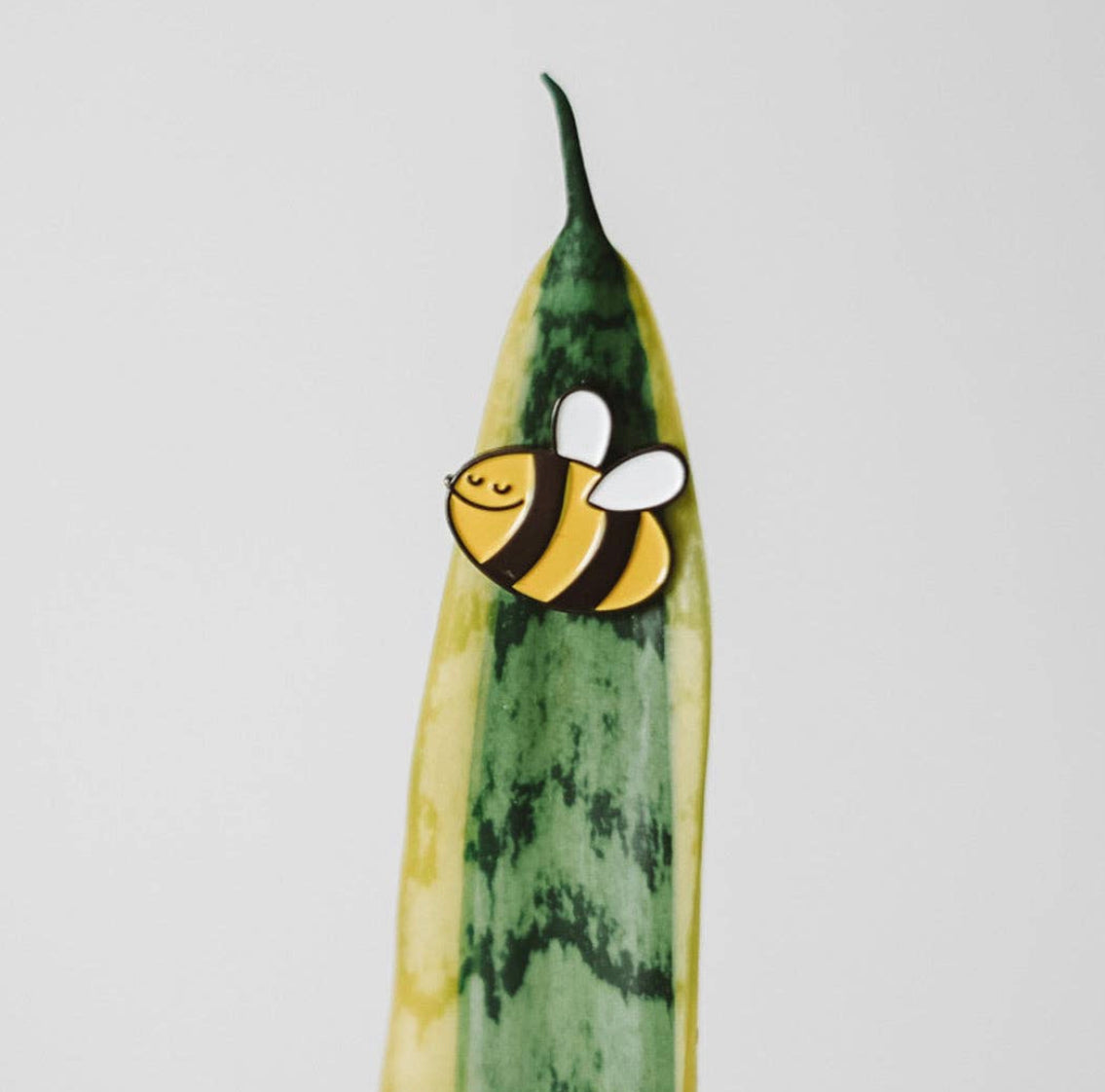 Plant Magnets!