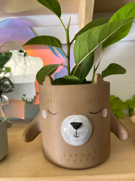 Bear Hug Pot