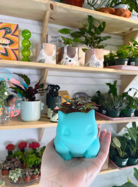 Pokémon Planters