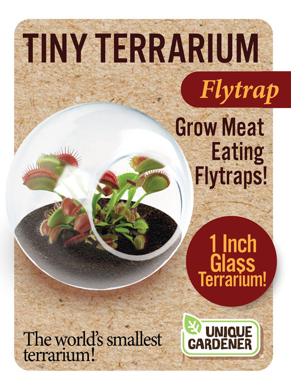 Tiny Terrariums