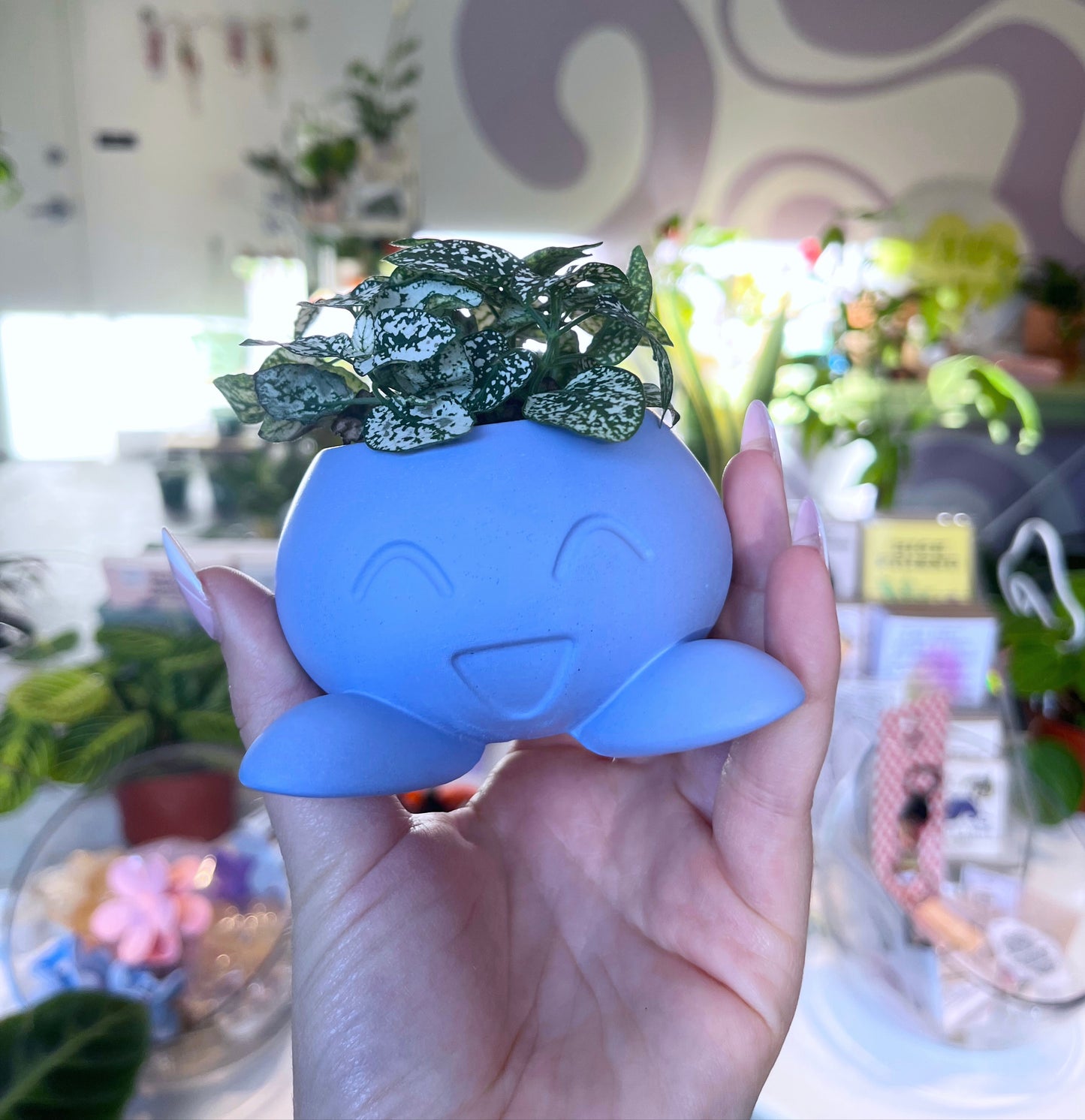 Pokémon Planters