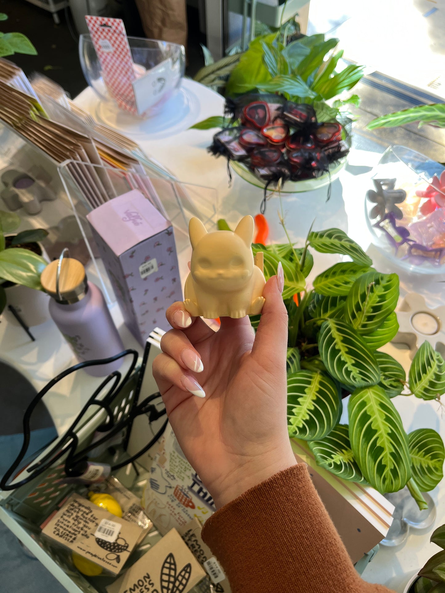 Pokémon Planters