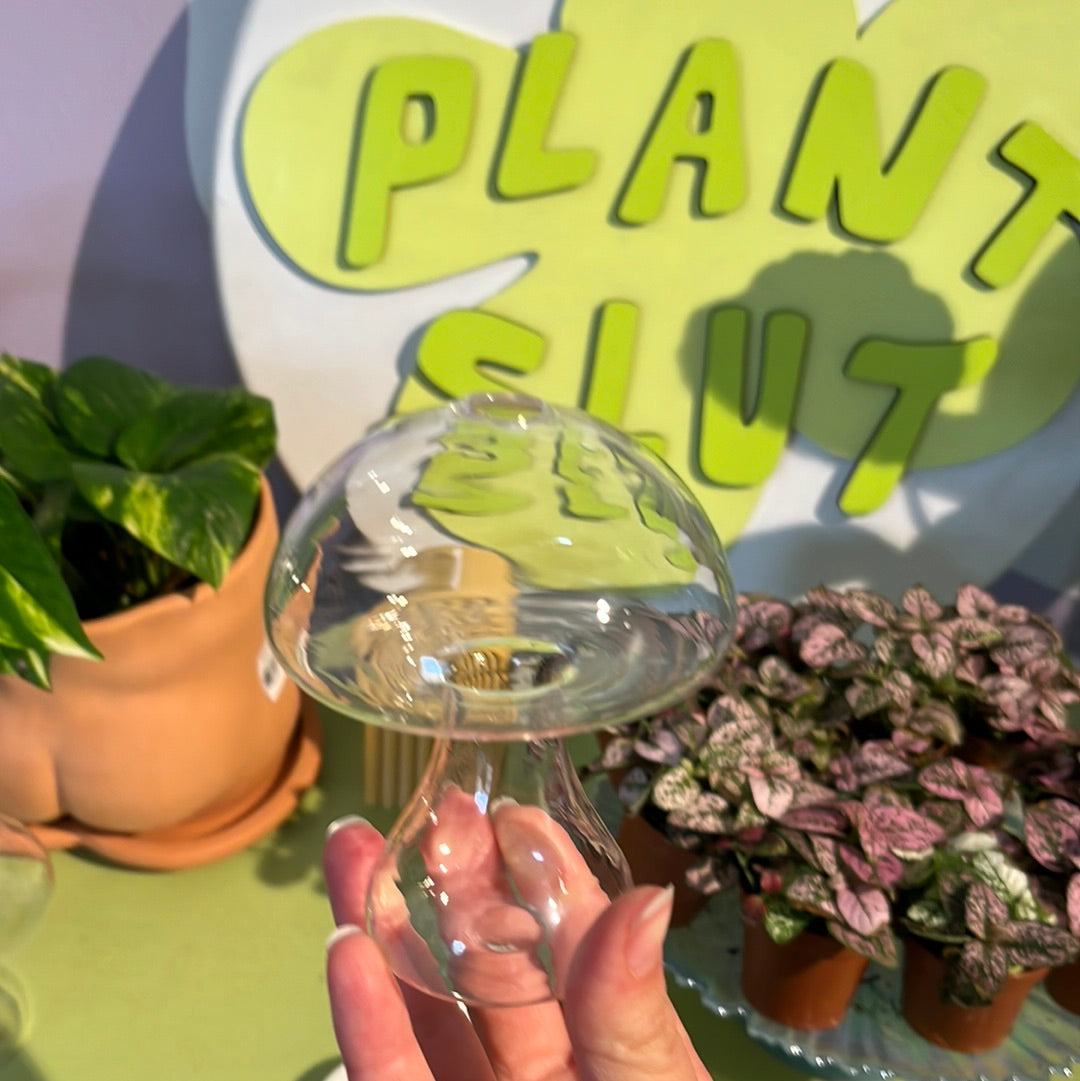 Shroom Propagation Jar
