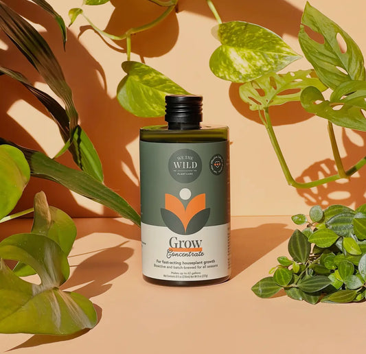 Grow Concentrate Fertilizer