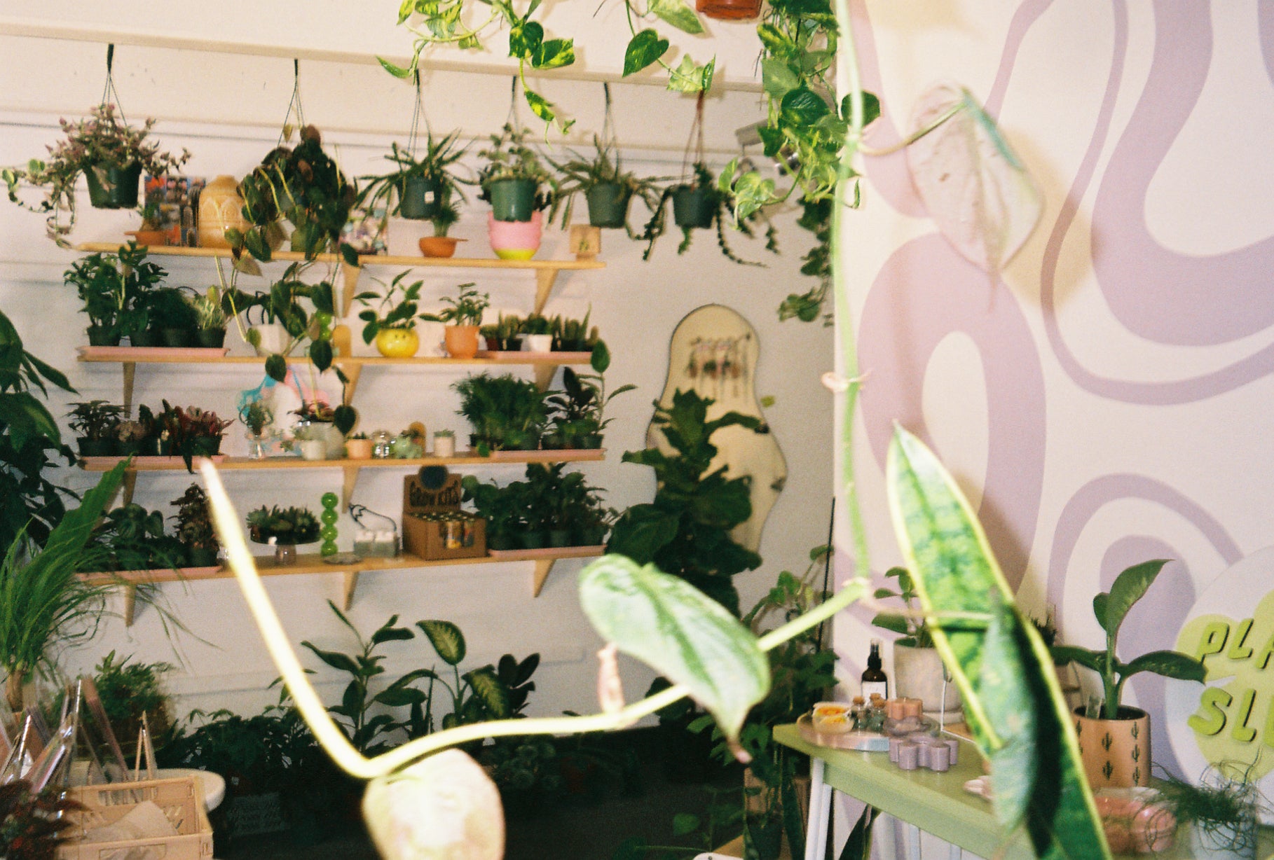 air force one planter