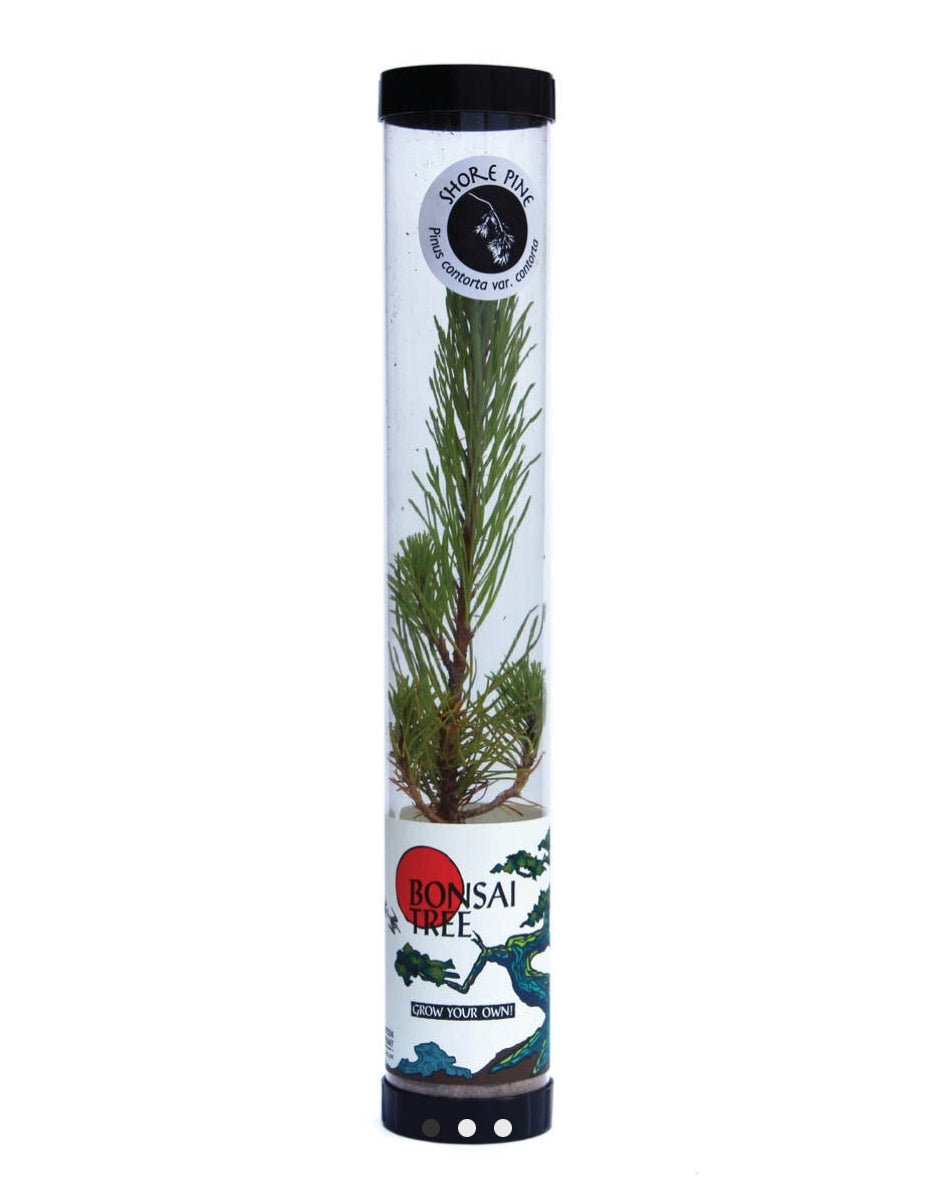 Grow Kits