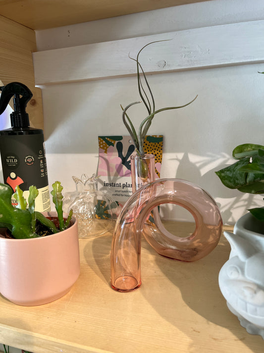 Curvy Glass Vase